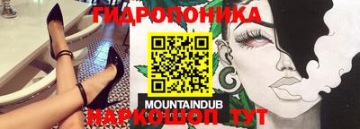 метамфетамин Партизанск