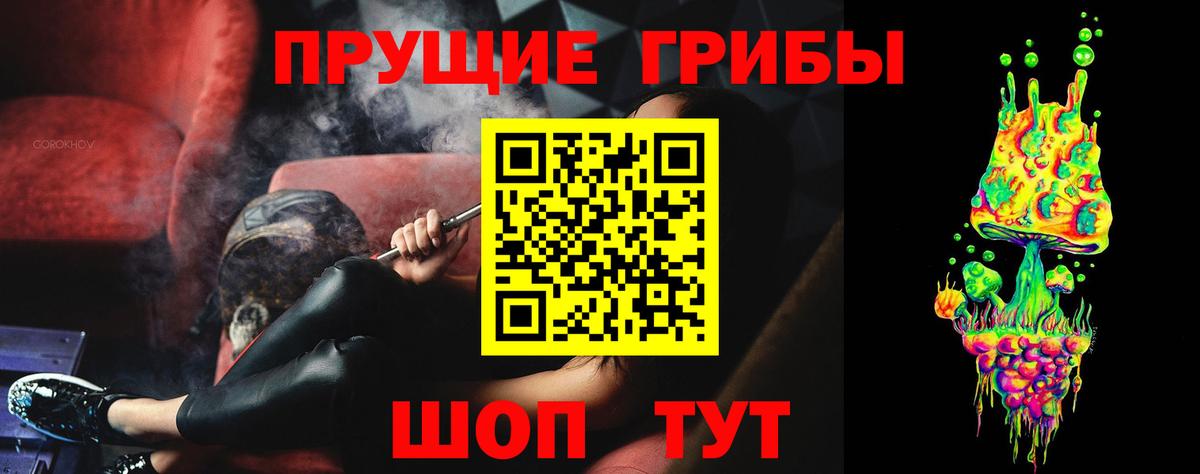 Псилоцибиновые грибы мухоморы  купить наркоту  Галлюциногенные грибы мухоморы  Электрогорск  Вход с VPN 